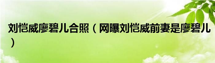 刘恺威廖碧儿合照（网曝刘恺威前妻是廖碧儿）