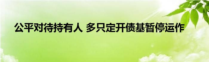 公平对待持有人 多只定开债基暂停运作