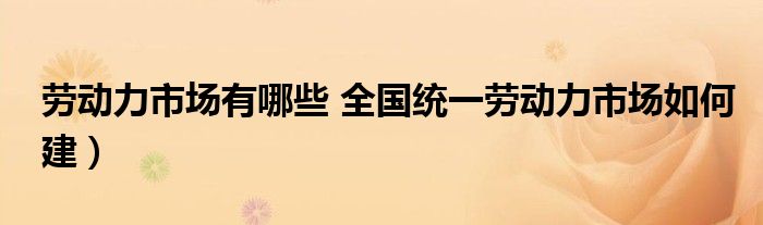 劳动力市场有哪些 全国统一劳动力市场如何建）