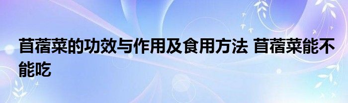 苜蓿菜的功效与作用及食用方法 苜蓿菜能不能吃