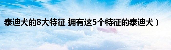 泰迪犬的8大特征 拥有这5个特征的泰迪犬）