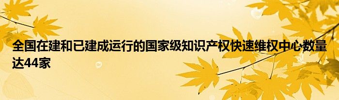 全国在建和已建成运行的国家级知识产权快速维权中心数量达44家