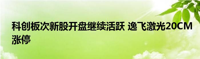 科创板次新股开盘继续活跃 逸飞激光20CM涨停