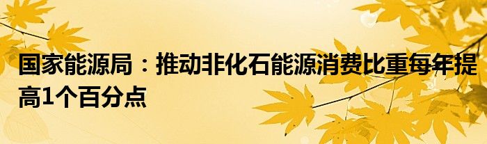 国家能源局：推动非化石能源消费比重每年提高1个百分点