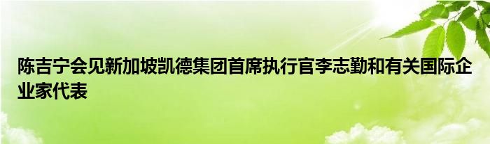 陈吉宁会见新加坡凯德集团首席执行官李志勤和有关国际企业家代表