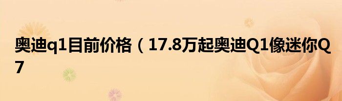 奥迪q1目前价格（17.8万起奥迪Q1像迷你Q7