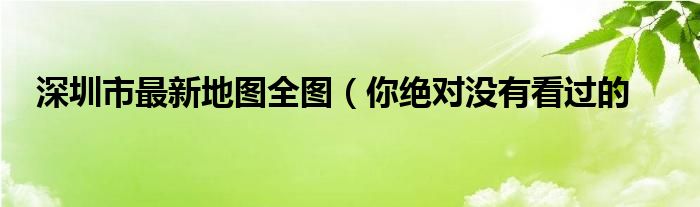 深圳市最新地图全图（你绝对没有看过的