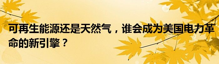 可再生能源还是天然气，谁会成为美国电力革命的新引擎？