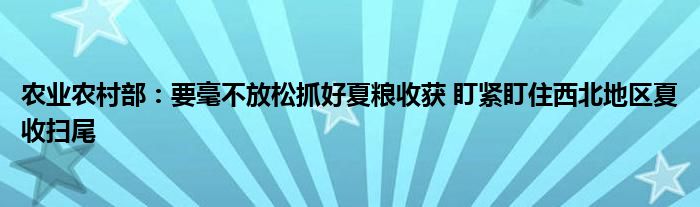 农业农村部：要毫不放松抓好夏粮收获 盯紧盯住西北地区夏收扫尾