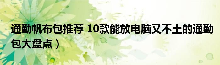 通勤帆布包推荐 10款能放电脑又不土的通勤包大盘点）