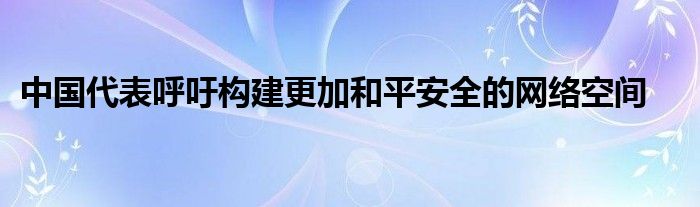 中国代表呼吁构建更加和平安全的网络空间