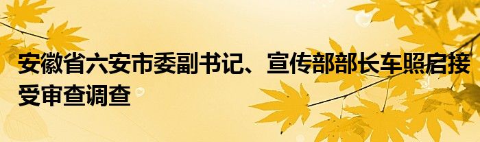 安徽省六安市委副书记、宣传部部长车照启接受审查调查