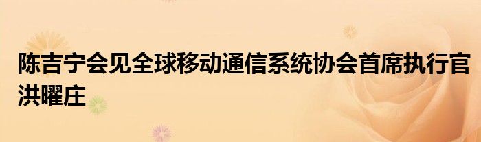 陈吉宁会见全球移动
系统协会首席执行官洪曜庄