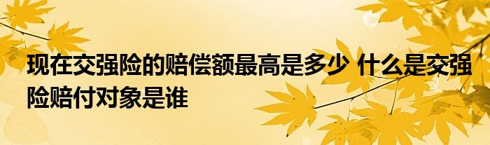 现在交强险的赔偿额最高是多少 什么是交强险赔付对象是谁