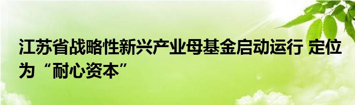 江苏省战略性新兴产业母基金启动运行 定位为“耐心资本”