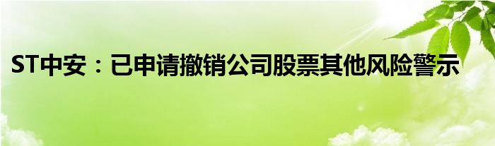 ST中安：已申请撤销公司股票其他风险警示