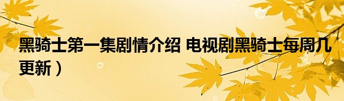 黑骑士第一集剧情介绍 电视剧黑骑士每周几更新）