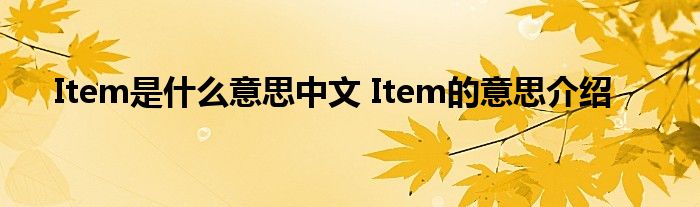 Item是什么意思中文 Item的意思介绍