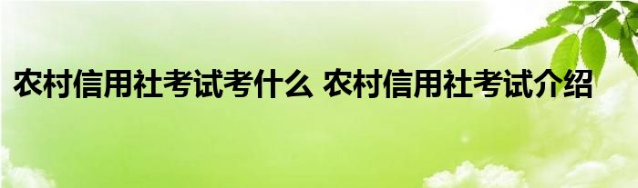 农村信用社考试考什么 农村信用社考试介绍