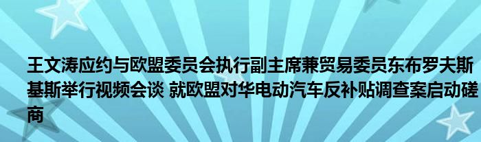 王文涛应约与欧盟委员会执行副主席兼贸易委员东布罗夫斯基斯举行视频会谈 就欧盟对华电动汽车反补贴调查案启动磋商