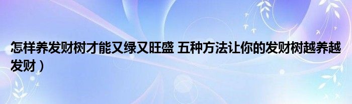 怎样养发财树才能又绿又旺盛 五种方法让你的发财树越养越发财）