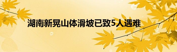 湖南新晃山体滑坡已致5人遇难