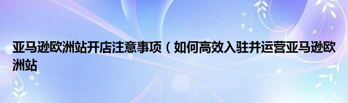 亚马逊欧洲站开店注意事项（如何高效入驻并运营亚马逊欧洲站