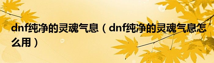 dnf纯净的灵魂气息（dnf纯净的灵魂气息怎么用）