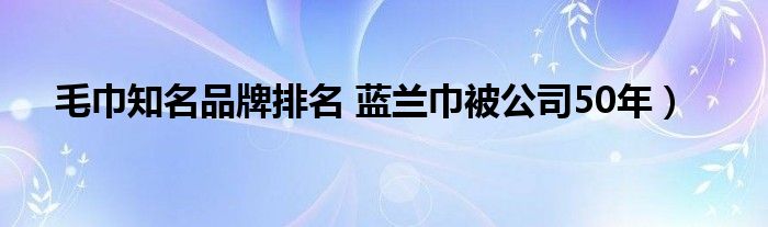 毛巾知名品牌排名 蓝兰巾被公司50年）