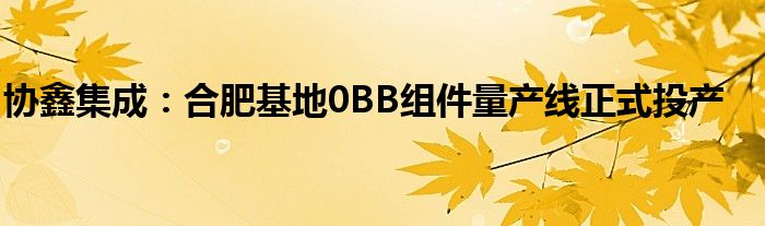 协鑫集成：合肥基地0BB组件量产线正式投产