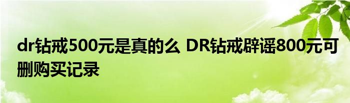 dr钻戒500元是真的么 DR钻戒辟谣800元可删购买记录