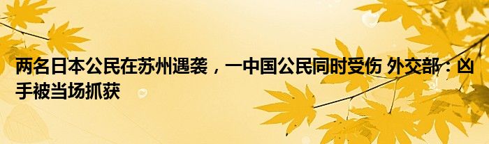 两名日本公民在苏州遇袭，一中国公民同时受伤 外交部：凶手被当场抓获