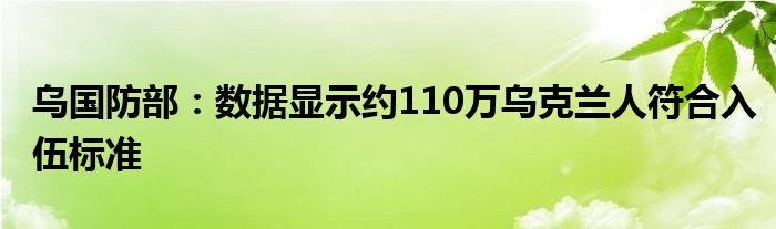 乌国防部：数据显示约110万乌克兰人符合入伍标准