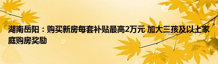 湖南岳阳：购买新房每套补贴最高2万元 加大三孩及以上家庭购房奖励