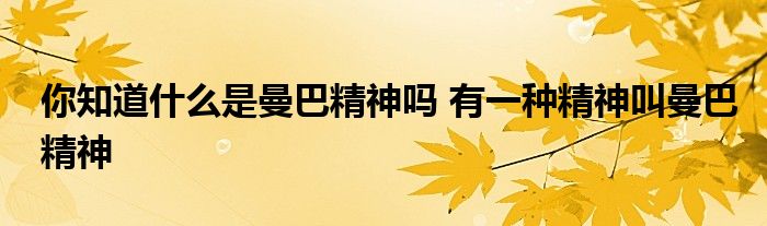 你知道什么是曼巴精神吗 有一种精神叫曼巴精神