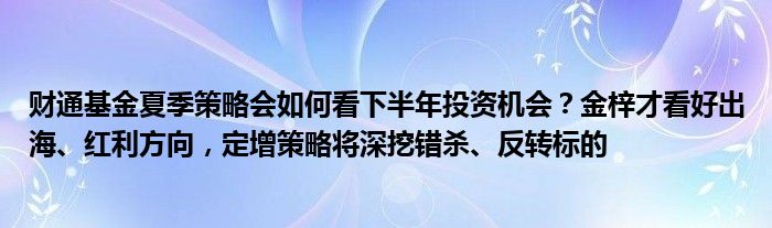 财通基金夏季策略会如何看下半年投资机会？金梓才看好出海、红利方向，定增策略将深挖错杀、反转标的