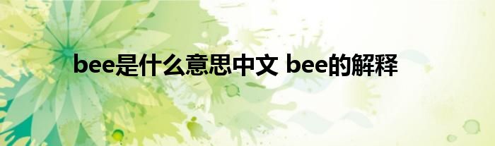 bee是什么意思中文 bee的解释