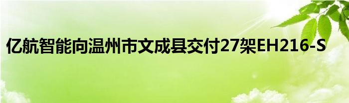 亿航智能向温州市文成县交付27架EH216-S