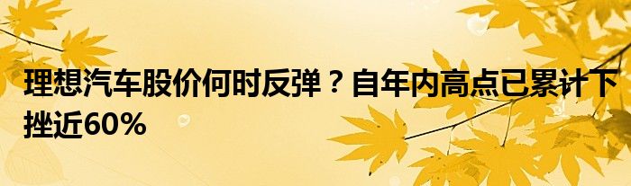 理想汽车股价何时反弹？自年内高点已累计下挫近60%