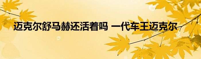 迈克尔舒马赫还活着吗 一代车王迈克尔