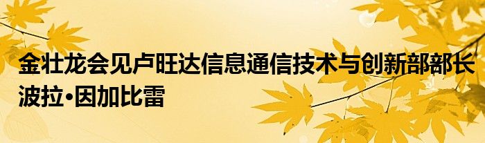 金壮龙会见卢旺达信息
技术与创新部部长波拉·因加比雷