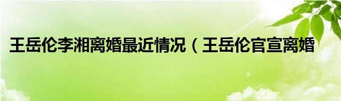 王岳伦李湘离婚最近情况（王岳伦官宣离婚