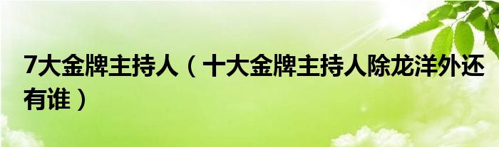 7大金牌主持人（十大金牌主持人除龙洋外还有谁）