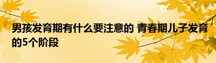 男孩发育期有什么要注意的 青春期儿子发育的5个阶段