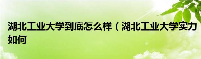 湖北工业大学到底怎么样（湖北工业大学实力如何