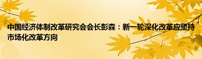 中国经济体制改革研究会会长彭森：新一轮深化改革应坚持市场化改革方向