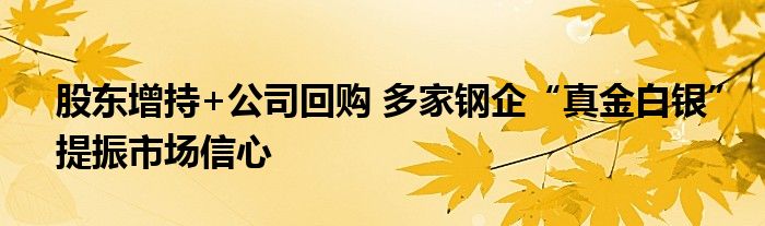 股东增持+公司回购 多家钢企“真金白银”提振市场信心