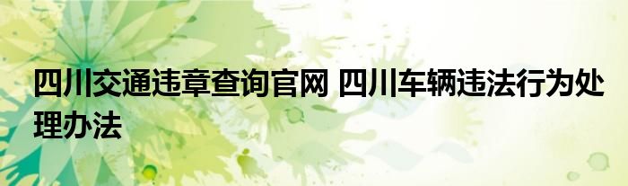 四川交通违章查询官网 四川车辆违法行为处理办法