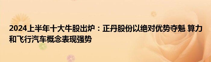 2024上半年十大牛股出炉：正丹股份以绝对优势夺魁 算力和飞行汽车概念表现强势