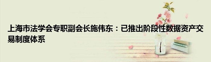 上海市法学会专职副会长施伟东：已推出阶段性数据资产交易制度体系